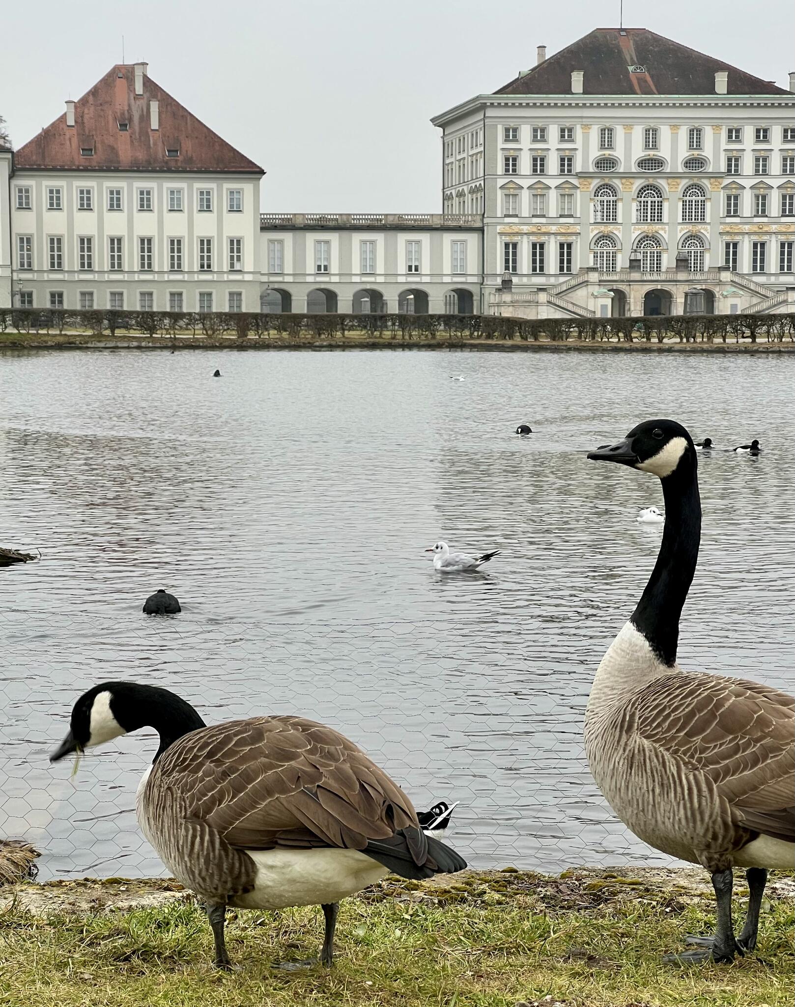 Château de Nymphenburg